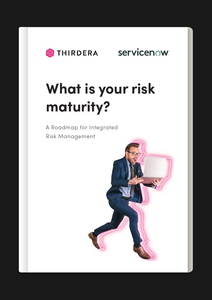 irm-maturity-model